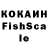 Галлюциногенные грибы Cubensis akk name
