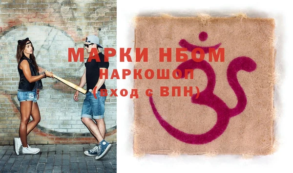 стаф Новодвинск