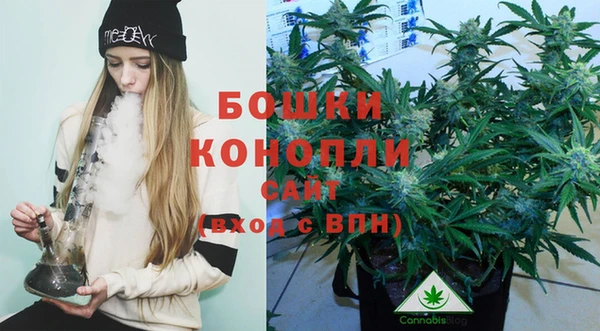 стаф Новодвинск