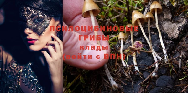 а пвп мука Новозыбков