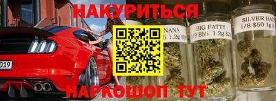 a pvp Гатчина