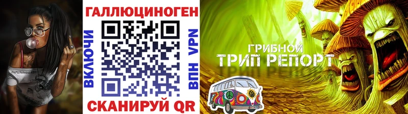 Галлюциногенные грибы Cubensis  Ейск 