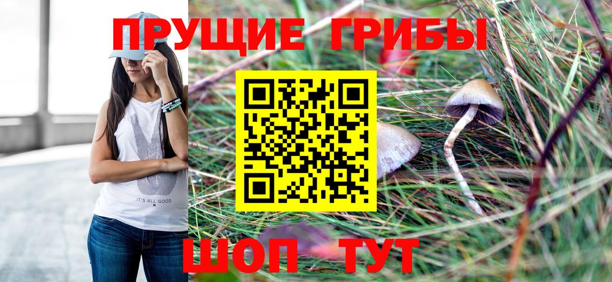 Ейск  Псилоцибиновые грибы MAGIC MUSHROOMS  Псилоцибиновые грибы Magic Shrooms  Вход с VPN 