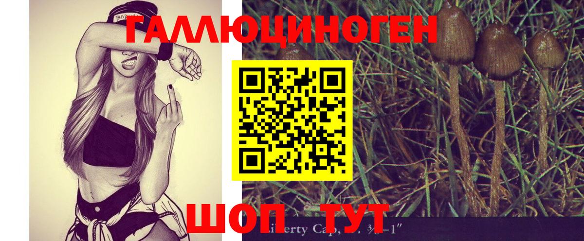 Галлюциногенные грибы ЛСД Ейск